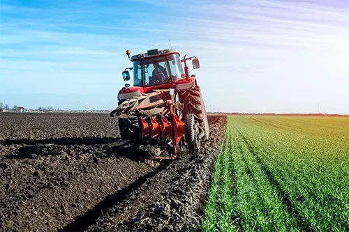 Agriculture